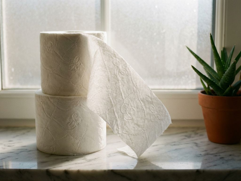 Premium wit toiletpapier met zachte gewatteerde textuur op marmeren badkamertafel naast aloë vera plant